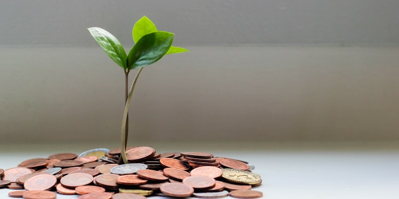 Piggy bank for student savings